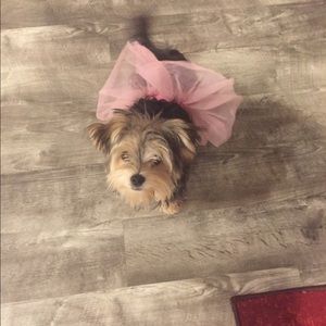 Meet your Posher, Ava